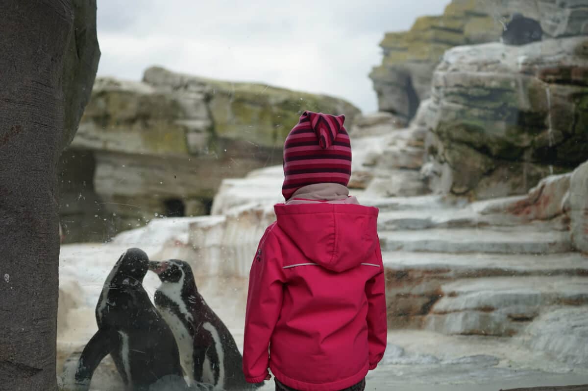 Zoo am Meer